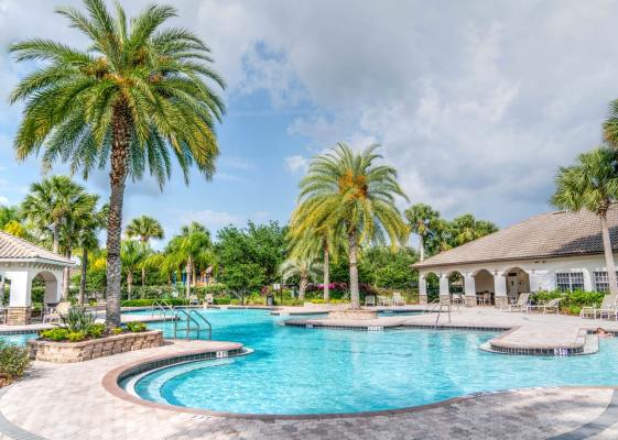Custom Pool Builder and Landscaping Company