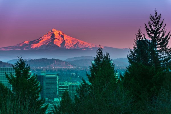 Affordable Oregon Chiropractic Practice for Sale