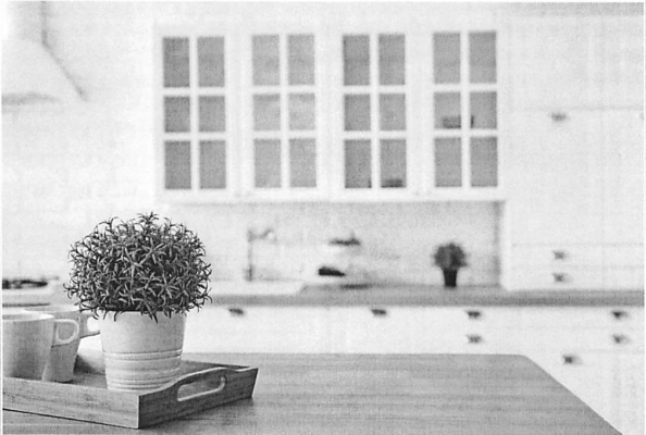 Counter Top Manufacturer