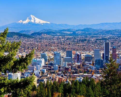 Practice for Sale in Eastside of Portland OR