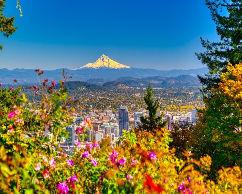 Chiropractic Practice for Sale in East Portland OR