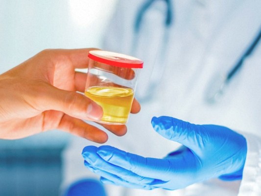 Toxicology Laboratory in Irvine, Full Equipped