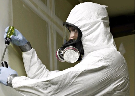 Environmental Based Services - Lead Mold Asbestos