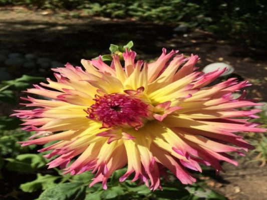 Mobile Floral Supply Route with Inventory