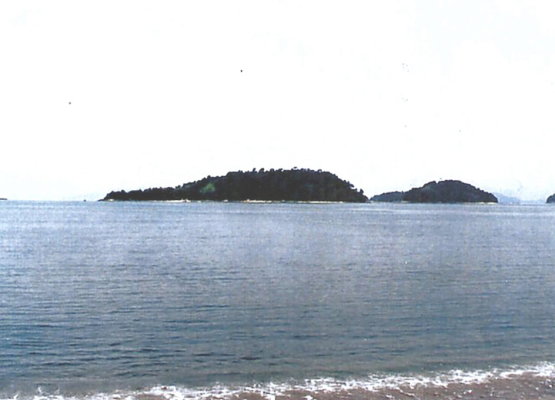 A Beautiful Island Near The Coast Of Brazil To Buy
