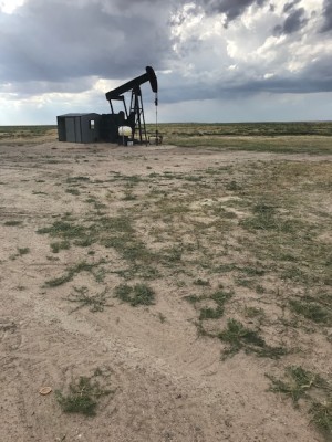 Weld Co. CO Production For Sale