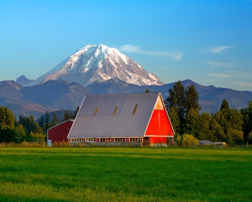 Chiropractic Practice for Sale in Puyallup, WA