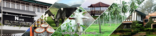 650 Acres Diary Farm for Sale