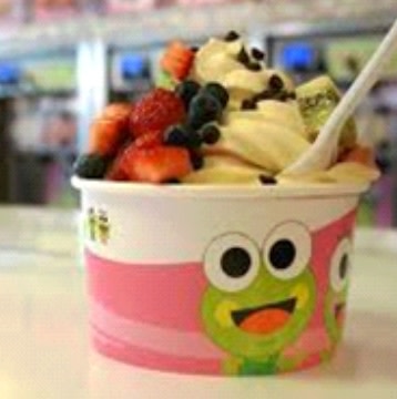 SweetFrog Yogurt Store Near Charlotte, NC