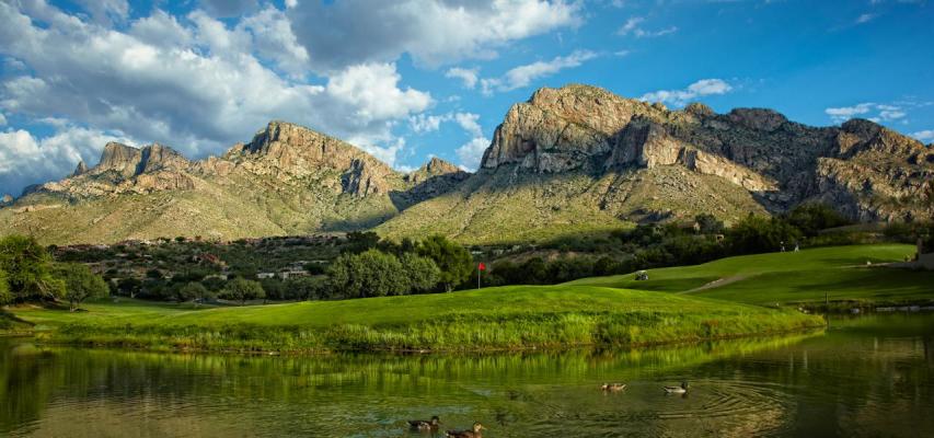 Dental Practice For Sale Near Tucson