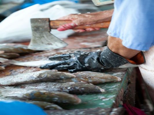 Profitable Seafood Distribution Business