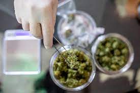 Whatcom County Cannabis Retail Store