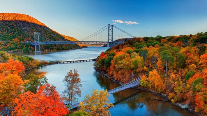 Optometry Practice for Sale - New York