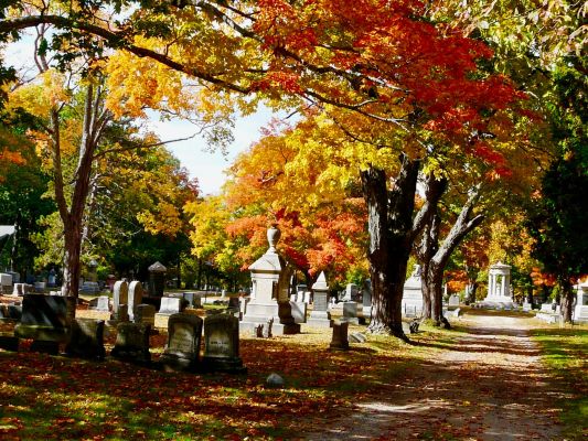 Maine Monument Company