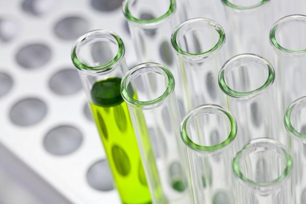 High Net, Full Service Laboratory, Growing