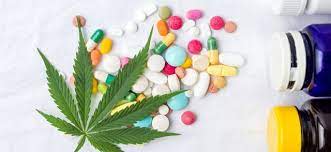 Cannabis Investors Invest Funding in Sri Lanka
