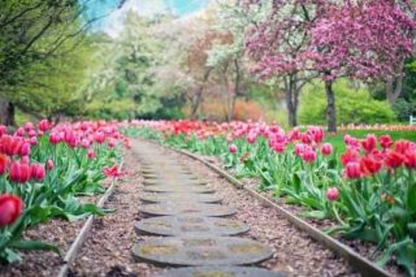 High End Landscaping Service for Sale in NJ