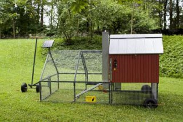 Niche Retailer Business in Buncombe County, NC