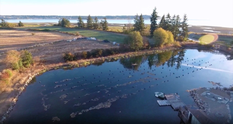 Sustainable Aquaculture Business