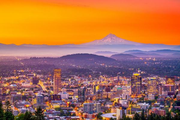 Chiropractic Practice for Sale in NE Portland OR