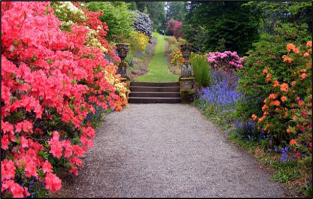 Residential Gardening & High-End Landscaping