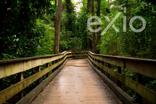 Bridge Design & Construction Company Now Available