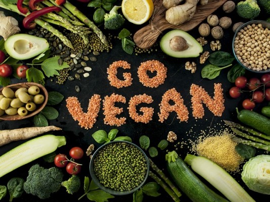 SM Driven eCom Business in the Vegan Verticals