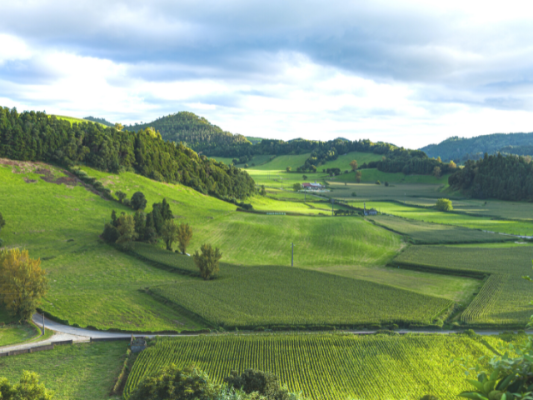 Real Estate Investment Company – Online Land