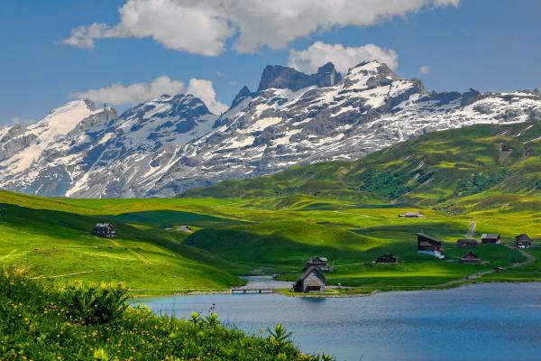 Swiss Asset Company