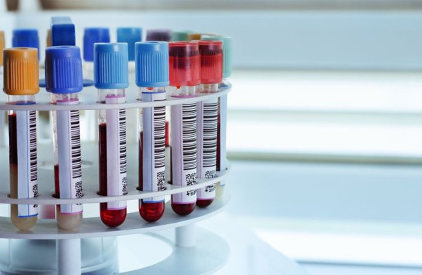 Clinical Lab Management Services