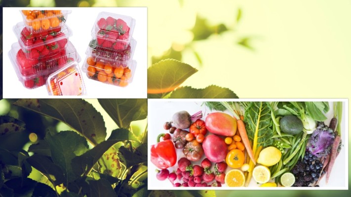 Fruit Harvesting & Packing Business in GA