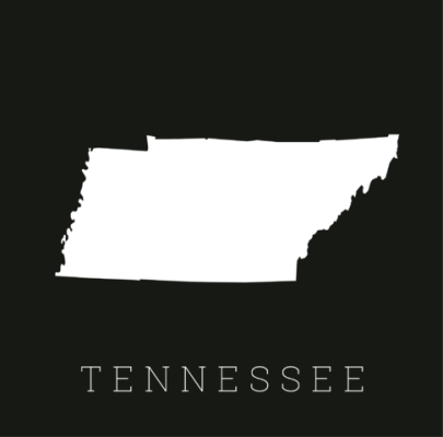 Springfield, TN, Practice For Sale
