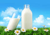 Mobile Milk Processing Factory Made in USA