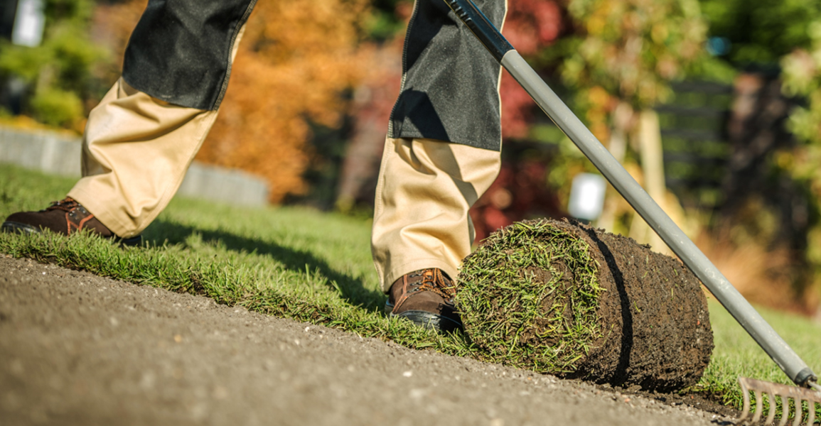 For Sale Well Established Landscaping & Sod Companies