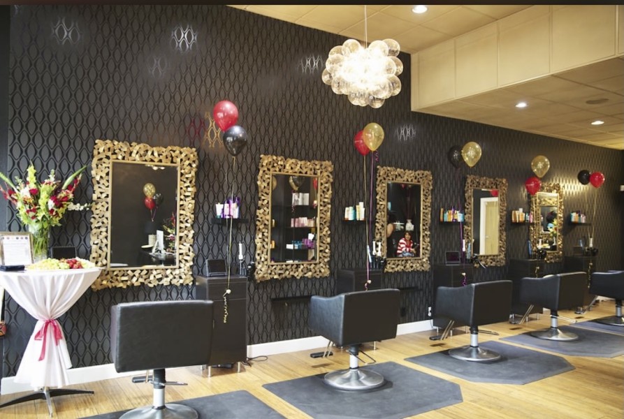 High End Hair Salon Chain/2 Locations