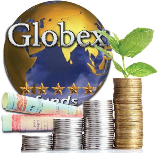 Publicly Traded Company