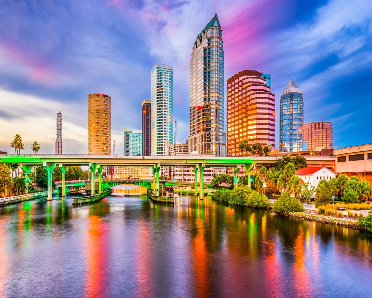 For Sale Chiropractic Practice Near Tampa FL