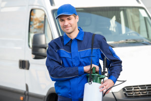 Pest Control Businesses For Sale | DealStream