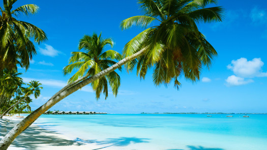 Bahamas Development Opportunity World Class Resort