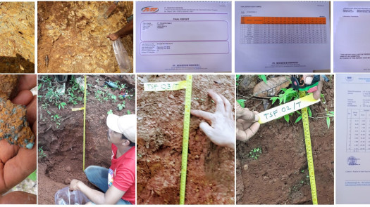 Nickel Mining For Take Over in Indonesia