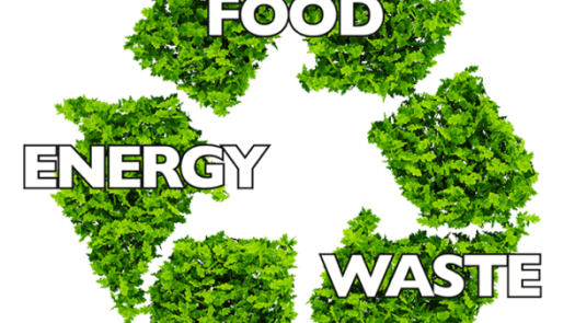 Scalable Carbon-Negative Food-Energy-Waste Systems