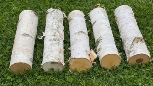 Work From Home Established eCommerce Business