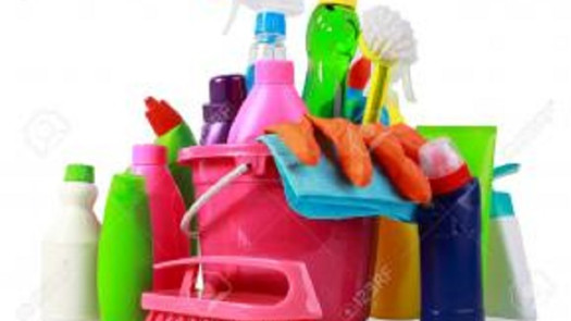 Cleaning Franchise for Sale in New York County, NY