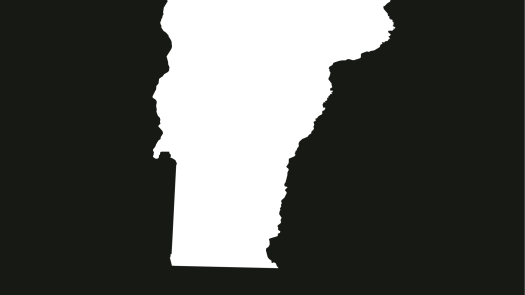 Pittsford, VT, Practice for Sale