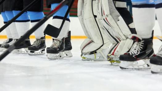 Turnkey Hockey-Skills Training Franchise with Proven Management for Sale