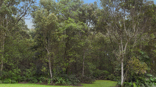 Scenic Backings Rentals- Production Industry