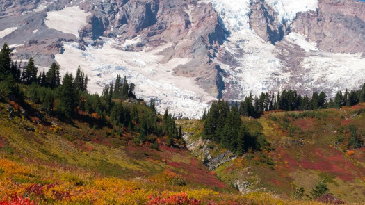 Turn-Key General Dental Practice in South Seattle