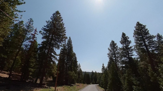 1 Acre Land Cheap Deal Near California Pines