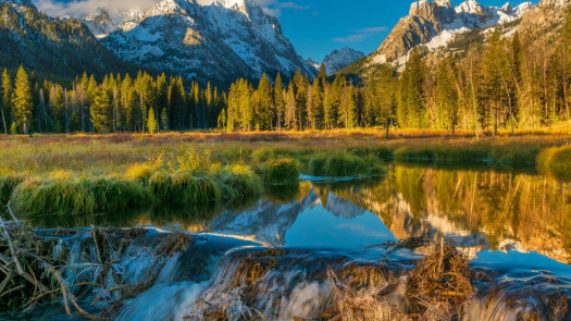 Central Idaho Small Animal Practice for Sale