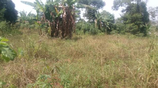 4.4acres in Bweyogerere Bukasa-Kirinya Uganda